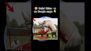 🥺 Gaint Rhino 🦏 on Google maps 👇 on the Google maps and google Earth #skbro76 #shorts