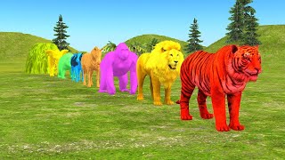 Long Slide Game With Elephant Gorilla Buffalo Hippopotamus Tiger - 3d Animal Game - Funny 3d Animals