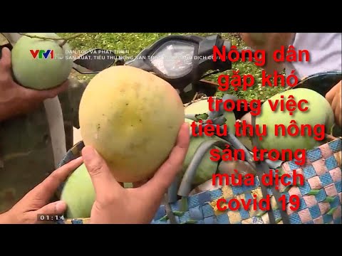 Nông dân gặp khó trong việc tiêu thụ nông sản trong mùa dịch covid 19