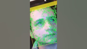 Matlab Face Detection