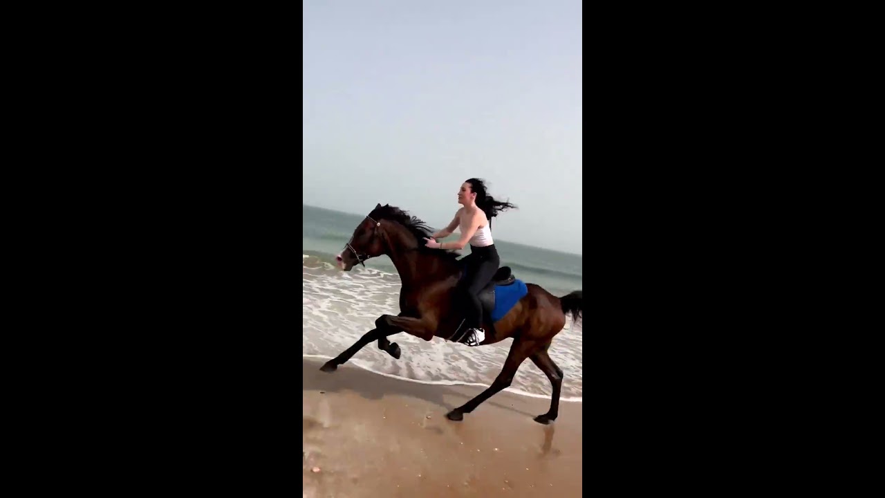 Galloping Horse Riding By A Beautiful Lady On The Beach 