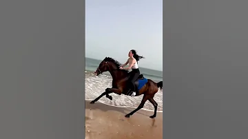 Galloping Horse Riding By A Beautiful Lady On The Beach Viralvideo 