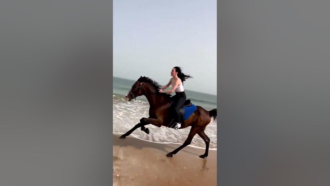 galloping horse riding by a beautiful lady on the beach. galloping horse riding by a beautiful lady on the beach.
