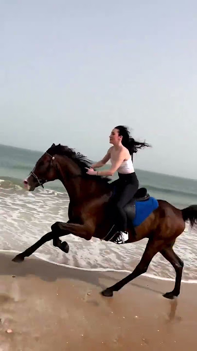 galloping horse riding by a beautiful lady on the beach.