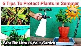 6 Eazy Tips to Protect Plants In Summer : How to save dying plant and keep your garden cool