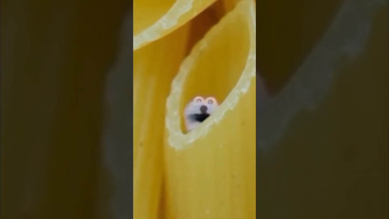 screaming blue thing compilation