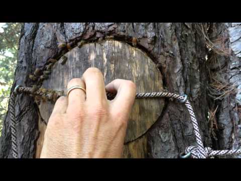 Vertical Log Hive in Autumn