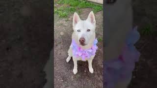 Karla A1925071 being cute