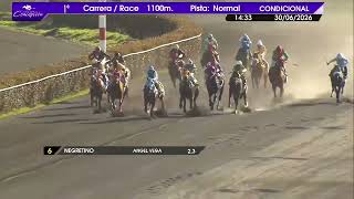 Vidéo de la course PMU PREMIO CAFE DA VINCI