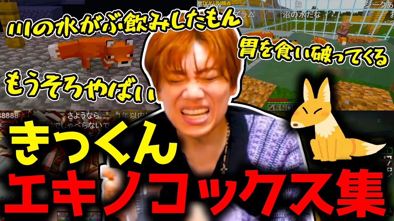 【MSSP】一生エキノコックスに怯えてるきっくん集【切り抜き】