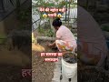 किचन वेस्ट से खाद्य बनाते समय पोट में होल जरूर करें#plants#gardeningideas#yt
