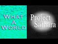 Project Saihara - What a World