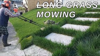 LONG GRASS MOWING | Satisfying transformation