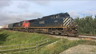 BC Rail Leader!!! BCOL 4650 Leads CN G834 (Grain/Mixed) East Near Spruce Grove, CN Edson Sub.