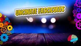 Uncinate fasciculus - Know It ALL 🔊✅