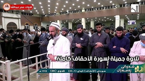 تلاوة جميلة لسورة الأحقاف كاملة | القارئ عمر عبداللّٰه سلطان
