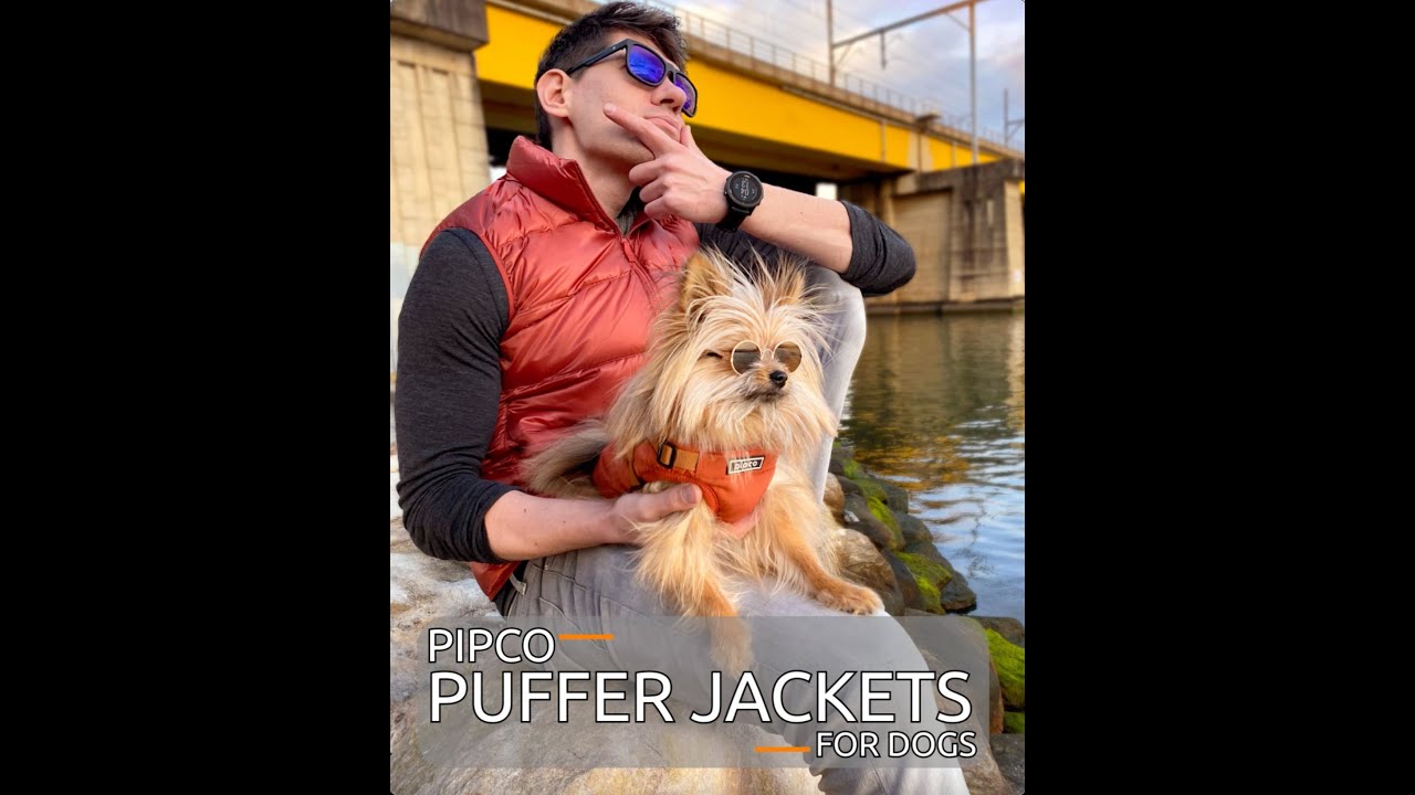 Pipco Puffer Jacket with Built-In Harness