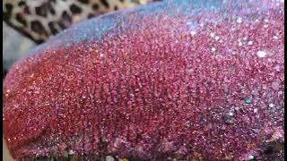 bf271d0a c3ee 4082 b70f 3aa8255c24b2