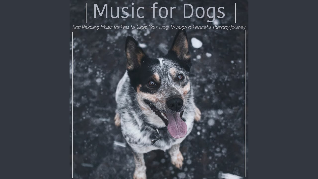 soft dog music