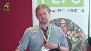 FSC vs. PEFC Certification: Key Differences & Similarities Explained