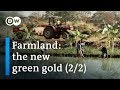 The dark side of agriculture in Ethiopia (2/2) | DW Documentary (Farming documentary)