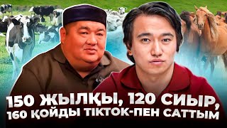 видео: Сауданың КІЛТІН таптым! Айына 300 бас малдыTikTok-пен саттым! Табыс қанша? Ет сату. картинка: Сауданың КІЛТІН таптым! Айына 300 бас малдыTikTok-пен саттым! Табыс қанша? Ет сату.