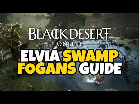 Видео: Elvia Swamp Fogans Rotation Guide | Black Desert Online