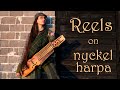 Shetland  scottish reels on nyckelharpa  da boys o da lounge  janines reel