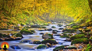 🔴 Healing Waters - Relaxing Music 24/7, Meditation Music, Sleep Music, Study Music, Calming Music