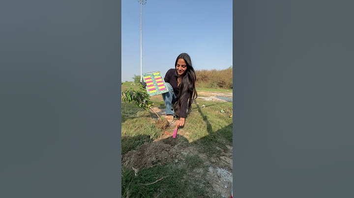 Planting 1 Lakh Trees 🌳 #shortsfeed #socialwork #treeplanting