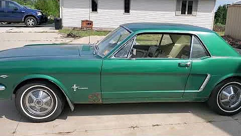 1965 mustang video walk around