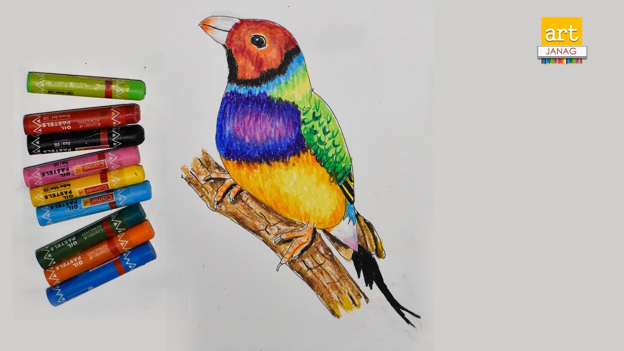 How to draw a cute Bird  II Birds Drawing II  By Art JanaG