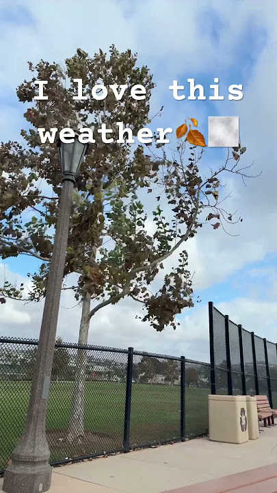 Love this song sm #music #blowup #4urpage #sadbeautifultragic #red #autumn #cold #cloudy #october