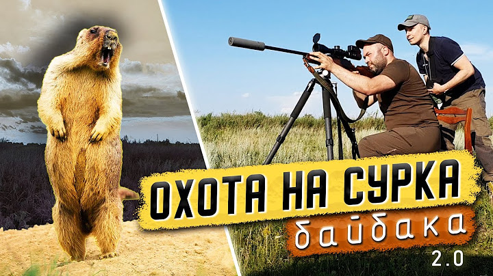 Охота на сурка байбака. (расширенная версия)