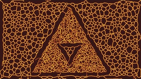 Cellular Automata: Slime Mold (Physarum Polycephalum)