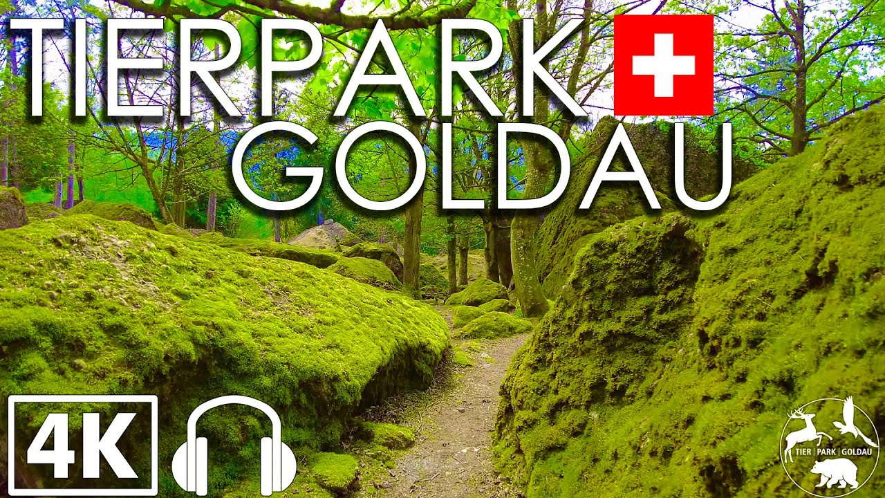 The Story of Tierpark Goldau, Switzerland 🇨🇭 | Walking Tour 4K