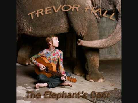Trevor Hall - Ghosts - With Lyrics