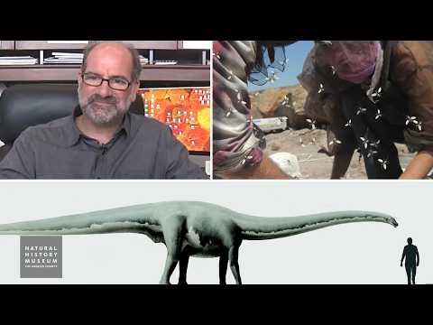 museums in london Meet Gnatalie: On view in the Dino Lab