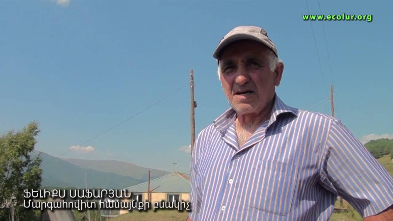 «Անտառը շատ լավ վիճակում է, իսկ մենք շատ վատ». փայտի կարիքը անտառամերձ Մարգահովիտում