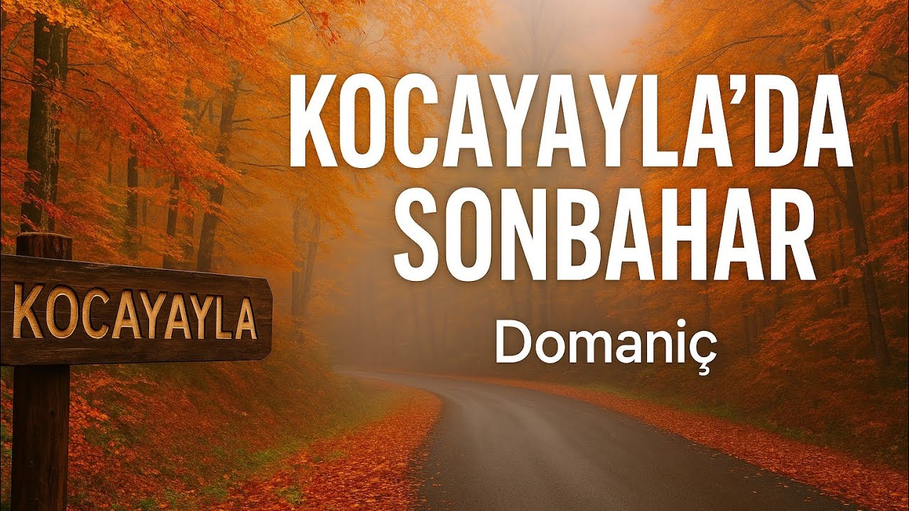 Elvis Presley Christmas With Elvis Full Album JUKEBOX 126 - YouTube Auto PHP Script