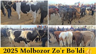 2025 Molbozor Narxlari | Bog'dod Chorva Bozor Narxlari | Богдод Молбозор #молбозор2025 #molbozor2025 Видео: 2025 Molbozor Narxlari | Bog'dod Chorva Bozor Narxlari | Богдод Молбозор #молбозор2025 #molbozor2025