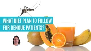 How To Plan Healthy Food Diet For Dengue Patients?