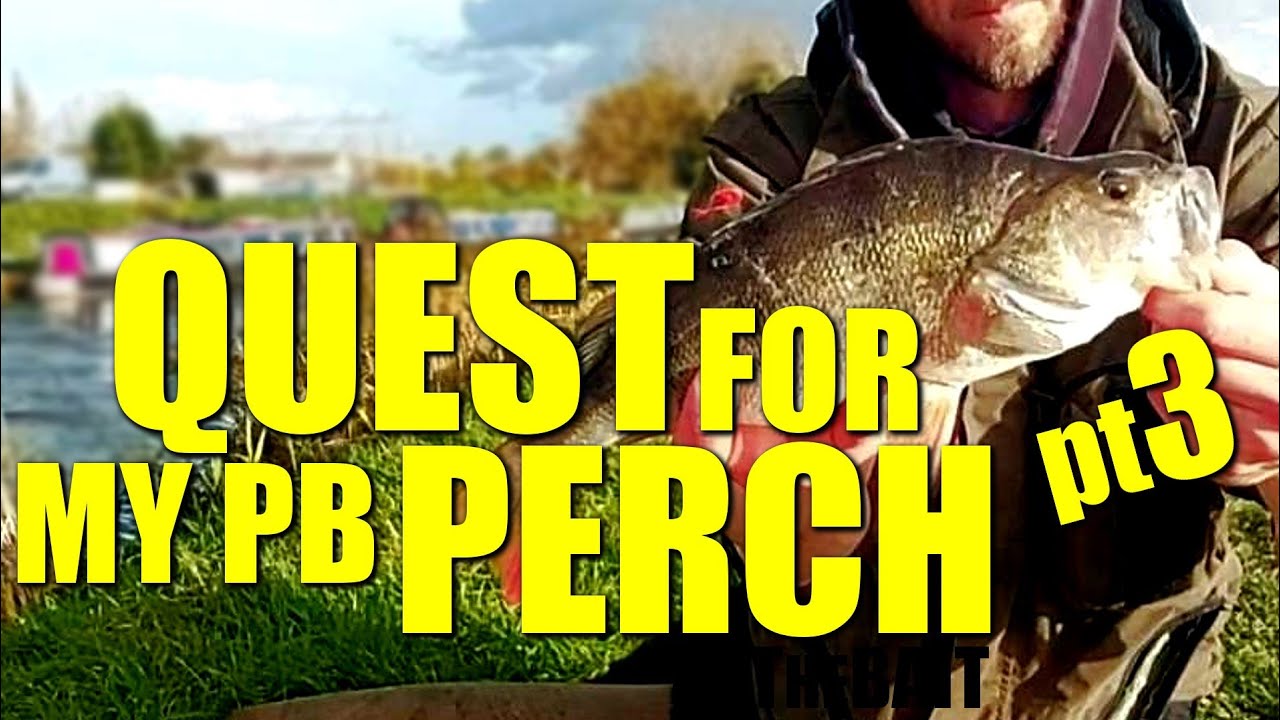 lure fishing rivers,find big perch,QUEST FOR MY PB EP3[UK LURE FISHING