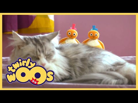 Twirlywoos Türkçe | Yumuşak | Sezon 1 Bölüm 18 | Çocuklar İçin Çizgi Filmler