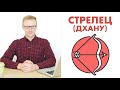 ЗНАКИ ЗОДИАКА:  СТРЕЛЕЦ / ДХАНУ (ДЖЙОТИШ)