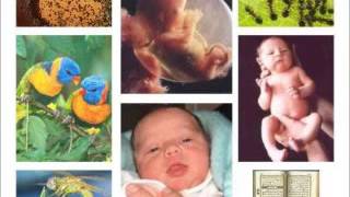 SERIGNE SAM MBAYE MOYTOU WOOROU AK SETANTALE KAWTEF SUNU BOROM YI PAR SERIGNE SAM MBAYE screenshot 1