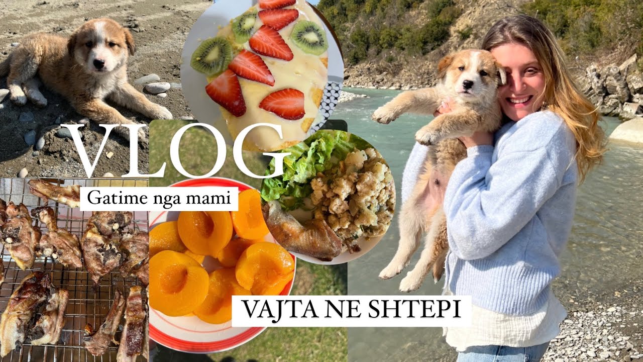 ME NE FUND NE SHTEPIqenushi im, gatime tradicionale, SA Polican| ble rroba me 100 leke , pazar| VLOG