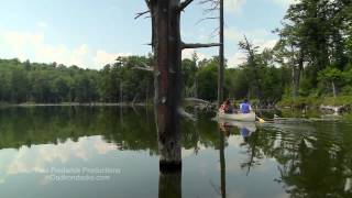 How to shoot from a boat!