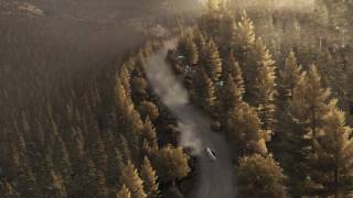 Dirt Rally | Don't Cut