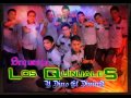 Orquesta Los Quinuales Amándote queriéndote